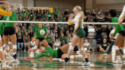 north dakota state bison GIF by NDSU Athletics
