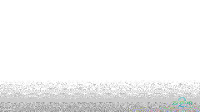 Walk Walking Around GIF by Walt Disney Animation Studios