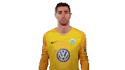 World Cup Football Sticker by VfL Wolfsburg