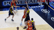 Liga Endesa Basketball GIF by ACB
