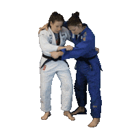 judoaustria throw judo judoka ippon Sticker