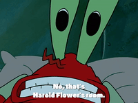season 3 GIF by SpongeBob SquarePants