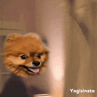 Scared Help Me GIF