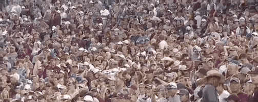 College World Series Baseball GIF by NCAA Championships