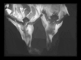 charlespieper film black and white ghost cinema GIF