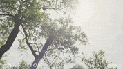Romance Love GIF by MASTERPIECE | PBS