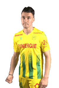 Ligue 1 Football Sticker by FCNantes