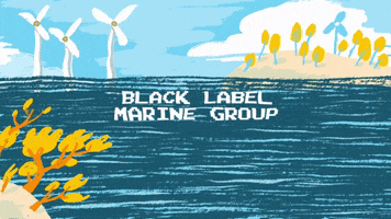 BlackLabelMarineGroup florida boats black label marine group blmg GIF