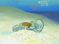 season 6 GIF by SpongeBob SquarePants