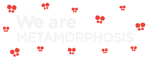 Pilates Studiom Sticker by Studio Metamorphosis