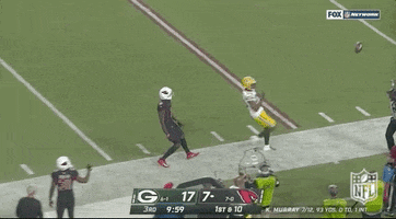 Green Bay Packers Football GIF by NFL