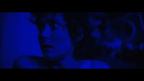 The Conjuring Halloween GIF by Thriller Records