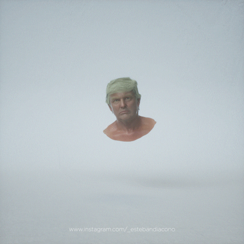 estebandiacono giphyupload animation trump head GIF