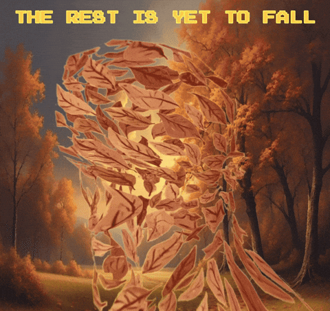 Pop Art Falling GIF by Xinanimodelacra