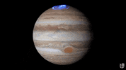 GIF by Univision Noticias
