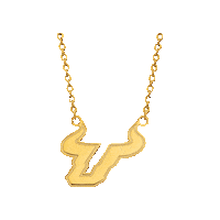 Usf Football Sticker by SoFloBulls