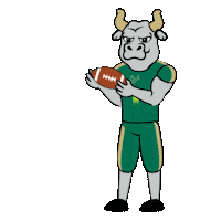football bulls Sticker by University of South Florida