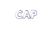 Cc2022 Sticker by Capture Conference
