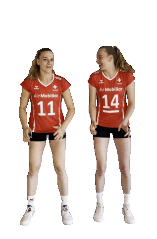 Eurovolley Swissvolley Sticker by NUCVolleyball