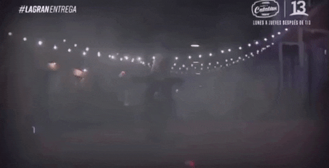 holatotis caballo rio oscuro GIF