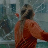 bird box horror GIF by NETFLIX