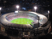 Walk Together Sydney Swans GIF by Madman Films