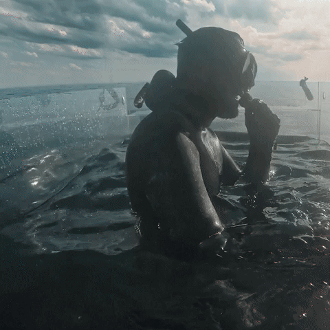 Surviving a Human Shark Breach