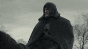 witcher 3 money GIF