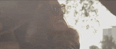 clipe bem feito GIF by Thaeme & Thiago