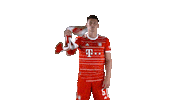 French Football Sticker by FC Bayern Munich