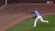 Chicago Cubs Sport GIF by MLB