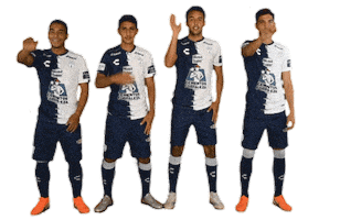 Liga Mx Cf Pachuca Sticker by Club Pachuca Tuzos