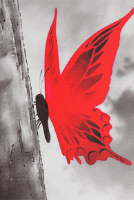 Anime Aesthetic GIF by animatr
