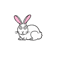 Snail_Scribbles bunny rabbit cute rabbit bunny rabbit Sticker