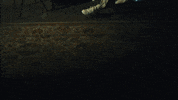 Rey Mysterio Dog GIF by M Huncho