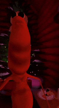 Christmas No GIF