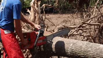 Power Tools Chainsaw GIF by JC Property Professionals