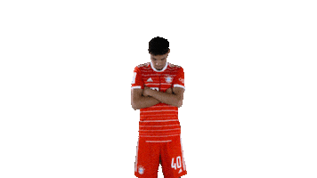 Look Up Sticker by FC Bayern Munich