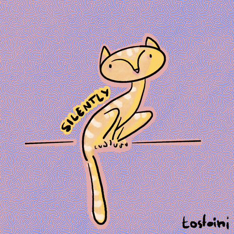 Staring Tabby Cat GIF by Tostoini