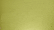 swim swimming GIF by Milestone Electric & Air