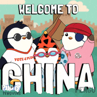 China Team GIF by Pudgy Penguins