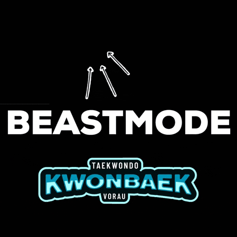 kwonbaek giphygifmaker giphyattribution taekwondo beastmode GIF
