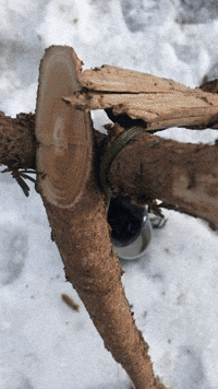 Water Purification