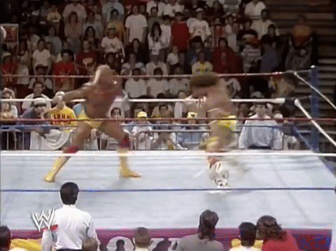 Royal Rumble Wrestling GIF by WWE