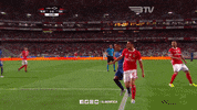 Celebrate Sl Benfica GIF by Sport Lisboa e Benfica