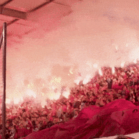 Football Club GIF by Widzew Łódź