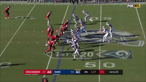 DH82 giphygifmaker buccaneers suh ndamukongsuh GIF