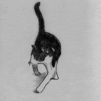 giuvisualart art animation loop black and white GIF