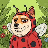 Shiba Inu Wow GIF by Doge Pound