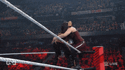 Sport Wwe GIF by USA Network